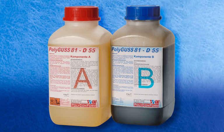 startbild_poly81-D55